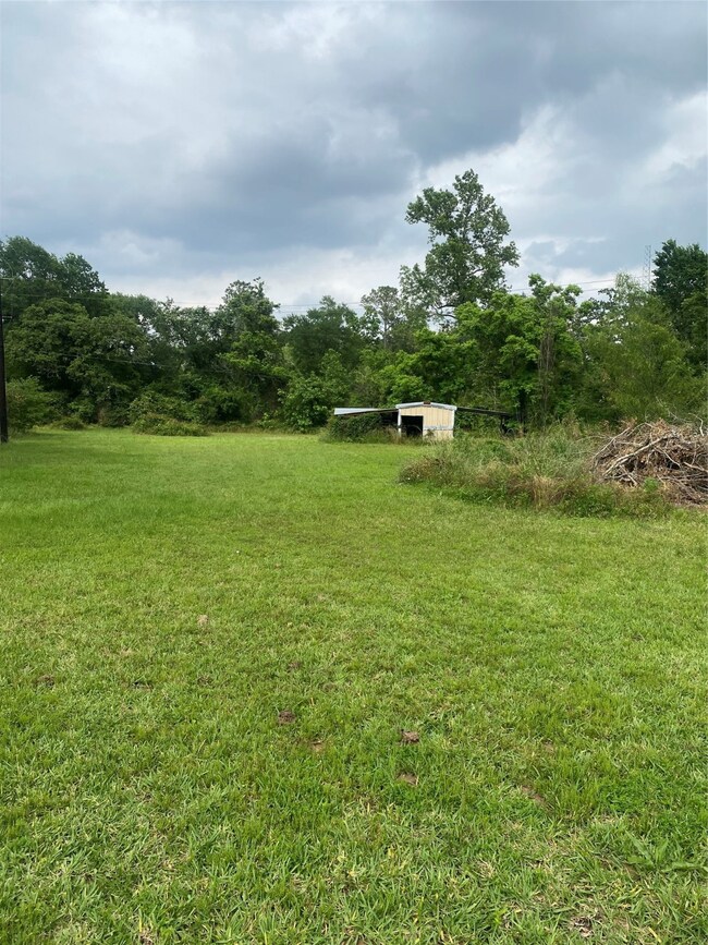 26032 Andy Ln, Magnolia, TX 77354 - photo 6