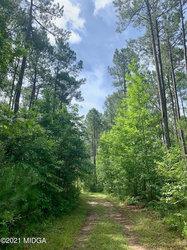 0 Watson Rd unit M161519, Forsyth, GA 31029 - photo 6