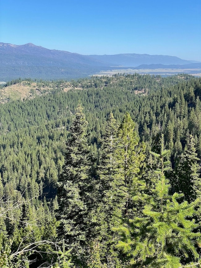 Tbd 80 W Fork Creek Rd, Cascade, ID 83611 - photo 7