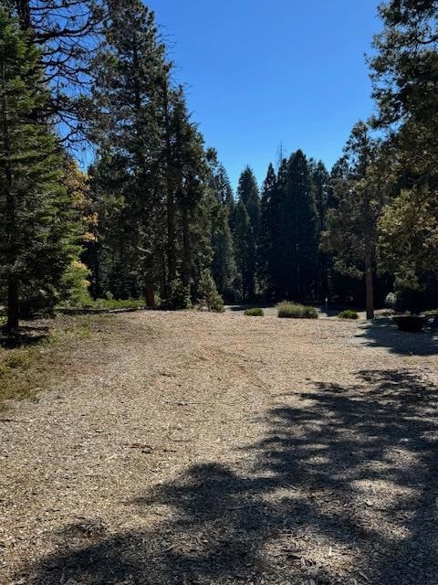 42144 Tourmaline Ln, Shaver Lake, CA 93664 - photo 2