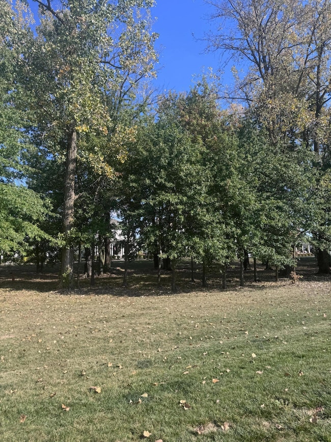 5566 Evans Farm Dr, Lewis Center, OH 43035 - photo 6