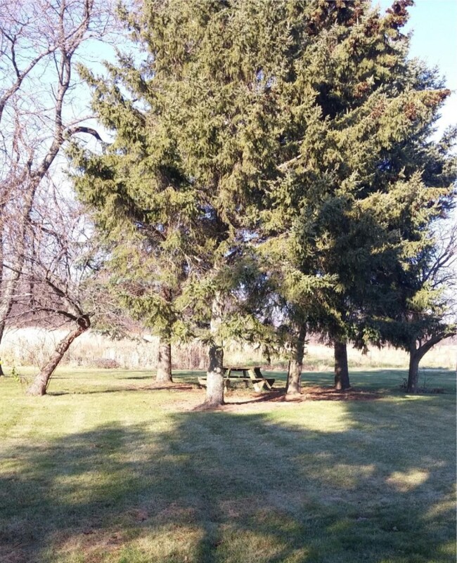 backyard view 108th