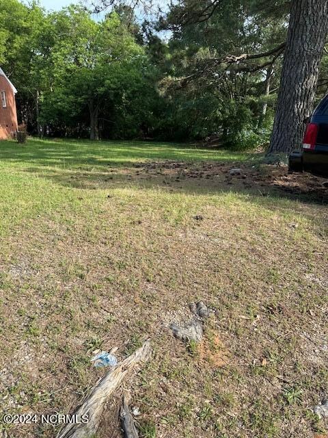 Raleigh lot 2