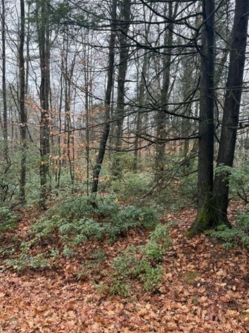 0 Wendell Depot Rd, Wendell, MA 01379 - photo 5