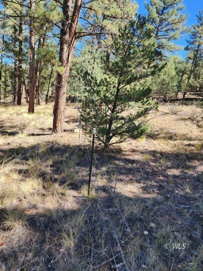 Fencing at BLM