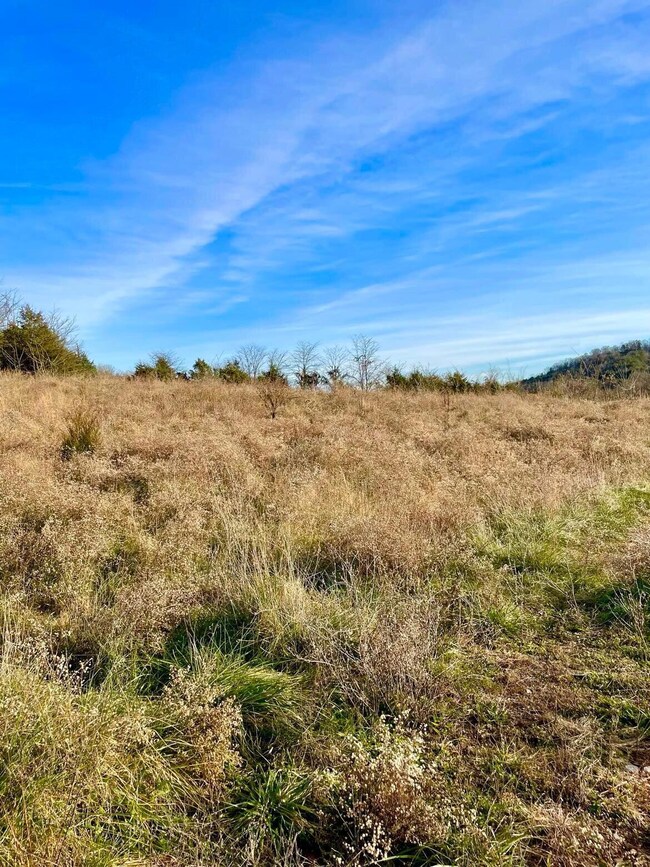 231 Highway 1003, Somerset, KY 42501 - photo 2