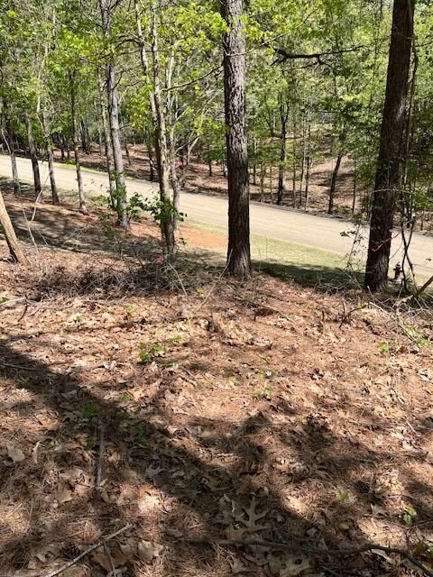 102 Westminster Dr, Oxford, MS 38655 - photo 3