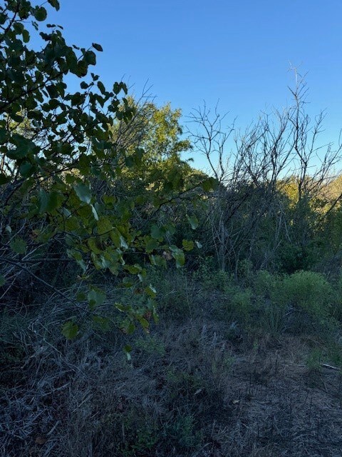 TBD Adobe Dr unit Lot 68, Stephenville, TX 76401 - photo 7