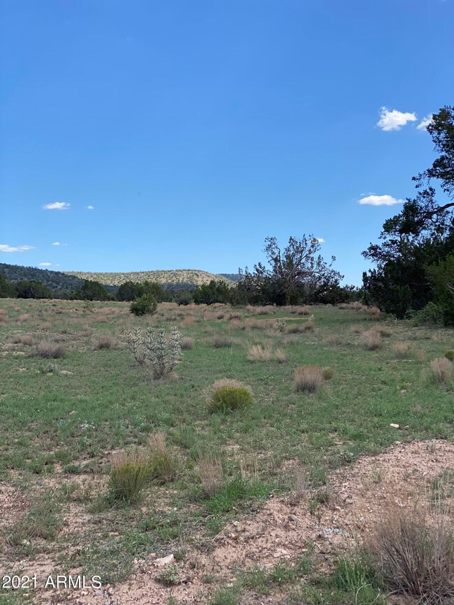 00 Markham Pass unit 1315, Seligman, AZ 86337 - photo 5