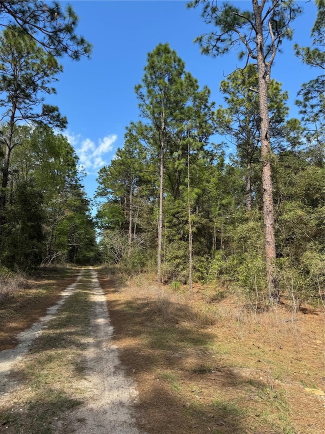 0 SW 156th Ct unit MFRO6331601, Ocala, FL 34481 - photo 2