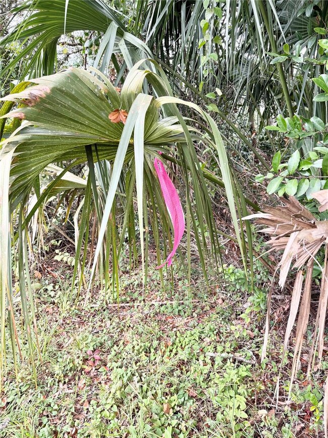 0 Hilda Rd unit MFRTB8334007, Ridge Manor, FL 33523 - photo 2