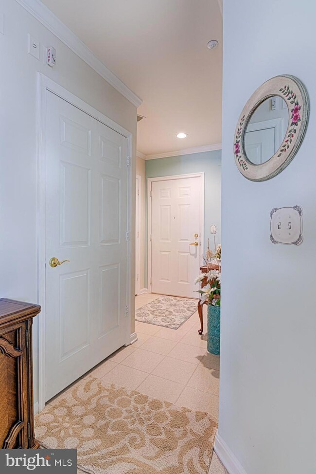 12105 Tullamore Ct unit 301, Lutherville Timonium, MD 21093 - photo 3