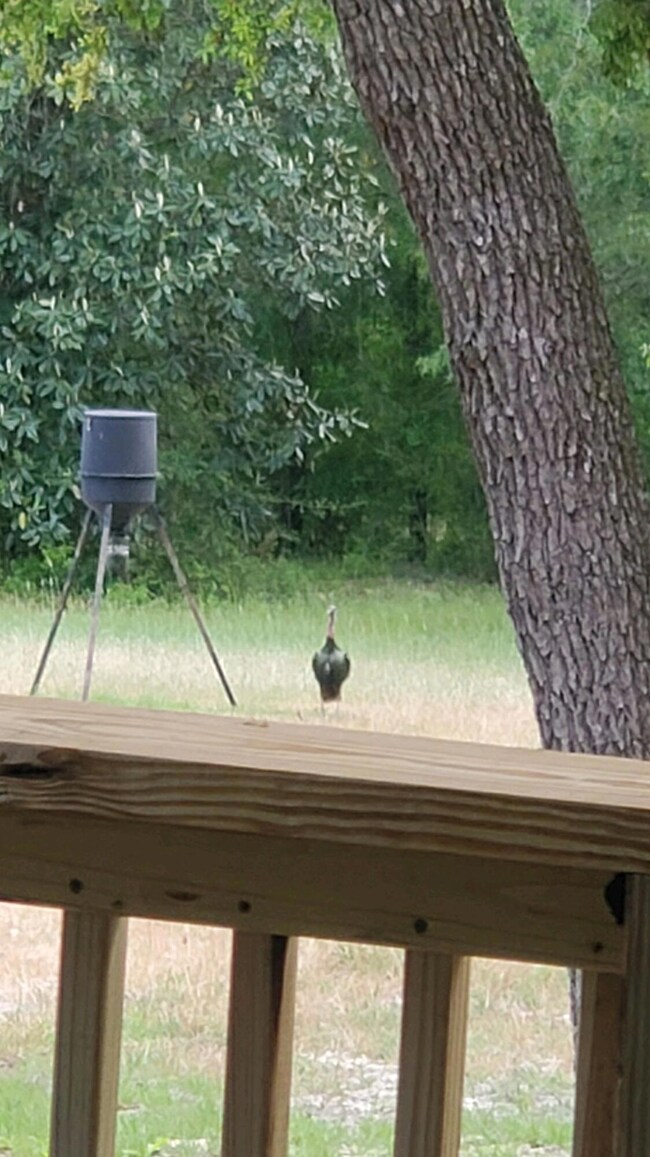 3968 Bambi Rd, Crestview, FL 32539 - photo 5