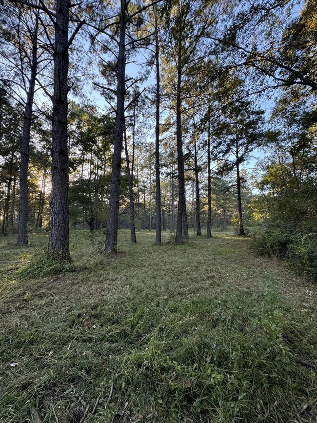 NHN Arrowhead Dr, Picayune, MS 39466 - photo 4