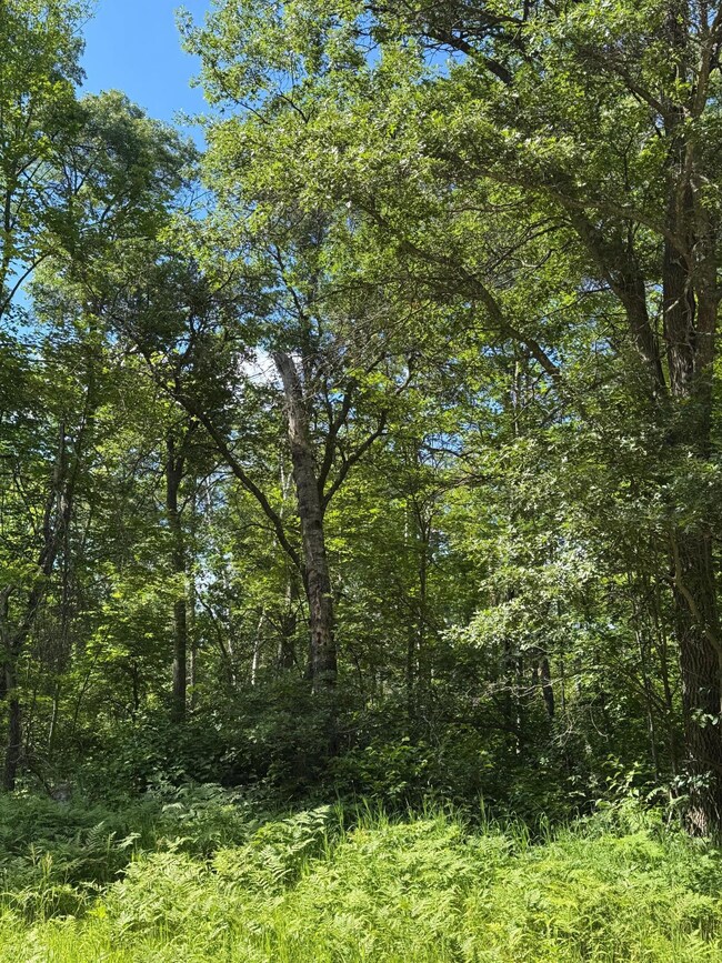 tbd Cedar St, Breezy Point, MN 56472 - photo 2