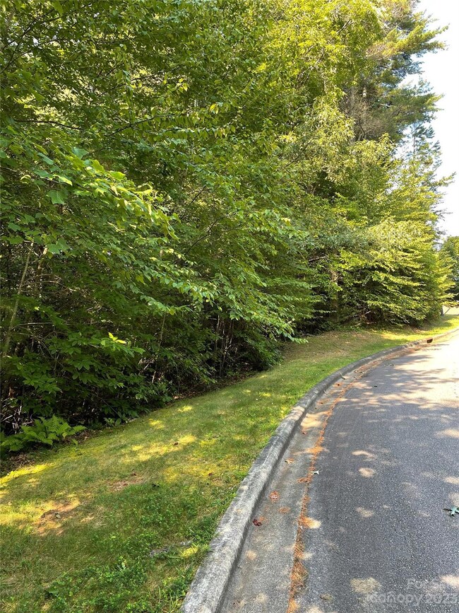 V48&49 Camptown Rd unit V48&49, Brevard, NC 28712 - photo 3