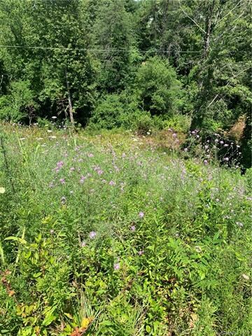 49 Alexander Ridge Dr, Leicester, NC 28748 - photo 2