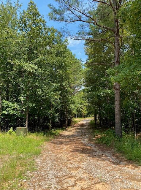 Driveway to the lot
