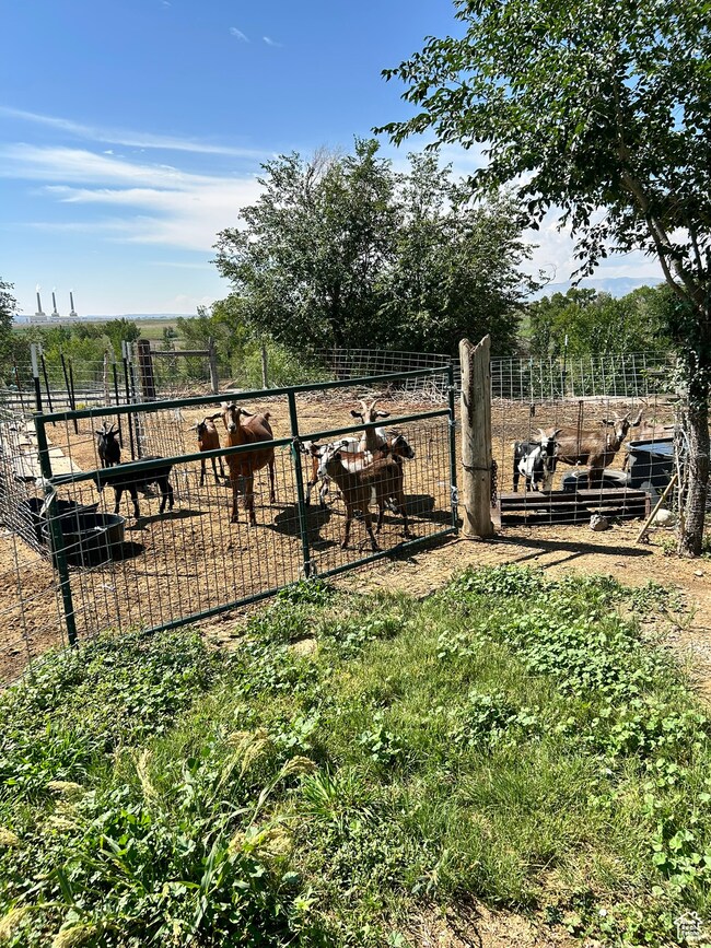 445 W 200 N, Castle Dale, UT 84513 - photo 6