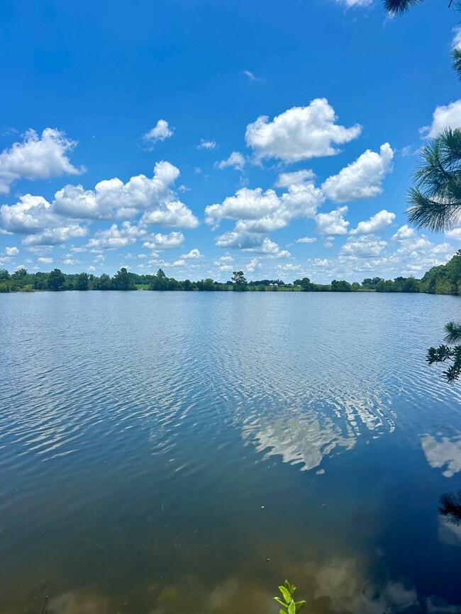 223 Walker Rd, Fitzgerald, GA 31750 - photo 7