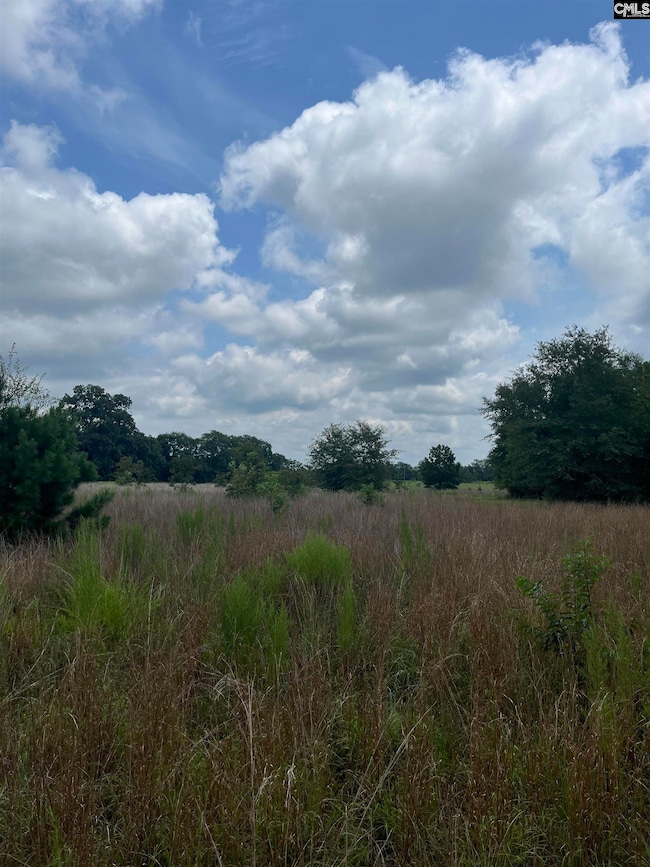 BHL 3 Boise Cascade Rd unit BHL 3, Bethune, SC 29009 - photo 3