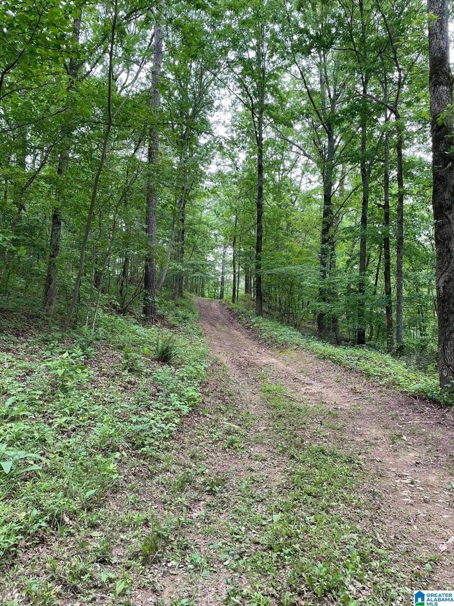 2215 Shiver Dr unit 2 lots, Bessemer, AL 35022 - photo 4