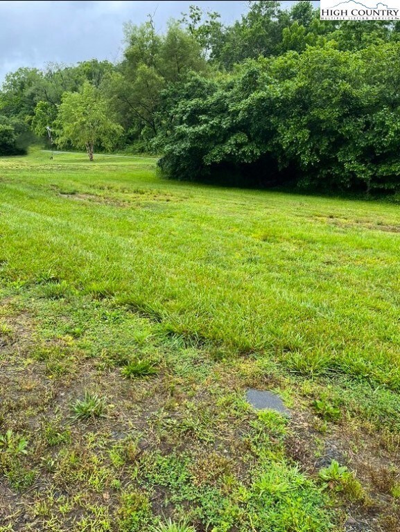 Level lot with some privacy bushes at the road.