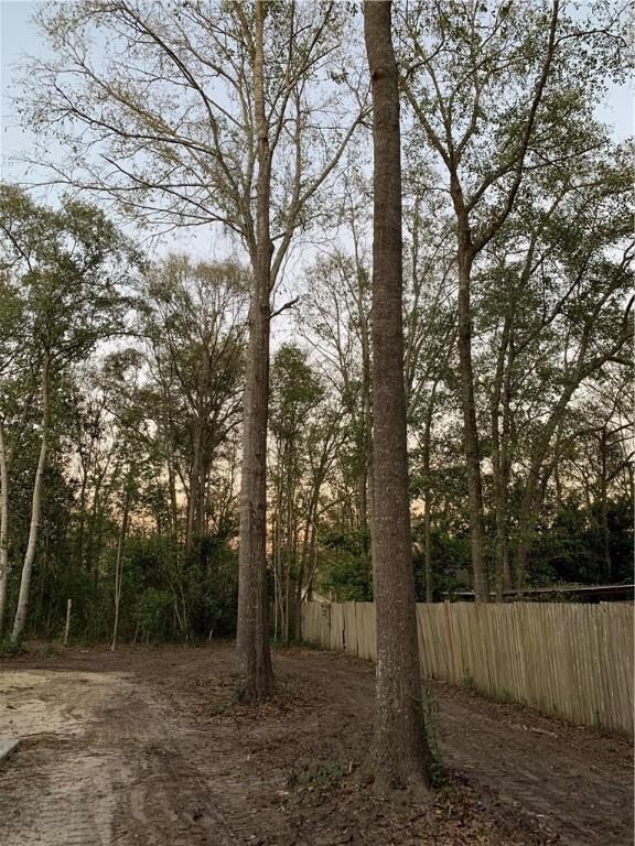 We love the back yard. It has just been cleared of