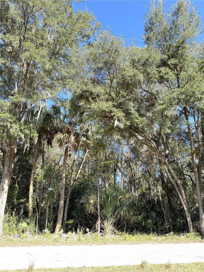 0 NE 35th St unit MFROM715037, Williston, FL 32696 - photo 6