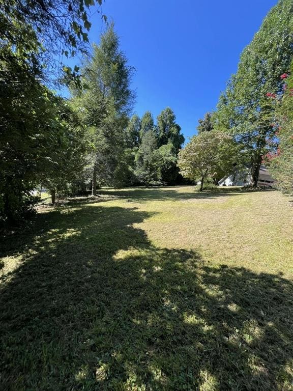 830 Damascus Cir, Blue Ridge, GA 30513 - photo 4