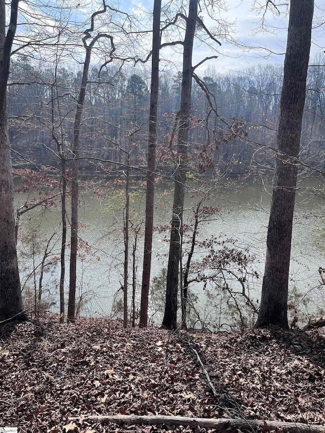 0 Lakeview Dr unit 1519656, Fair Play, SC 29643 - photo 3