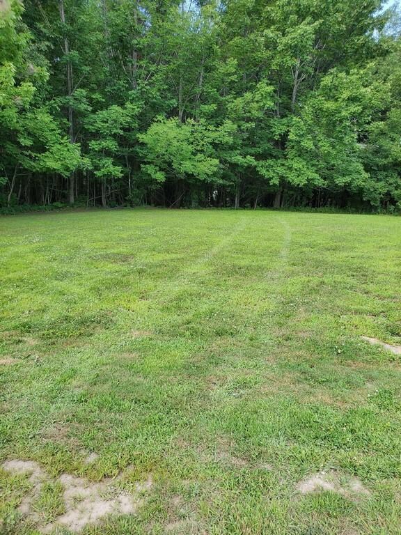 Open field at top of property2 (Copy)