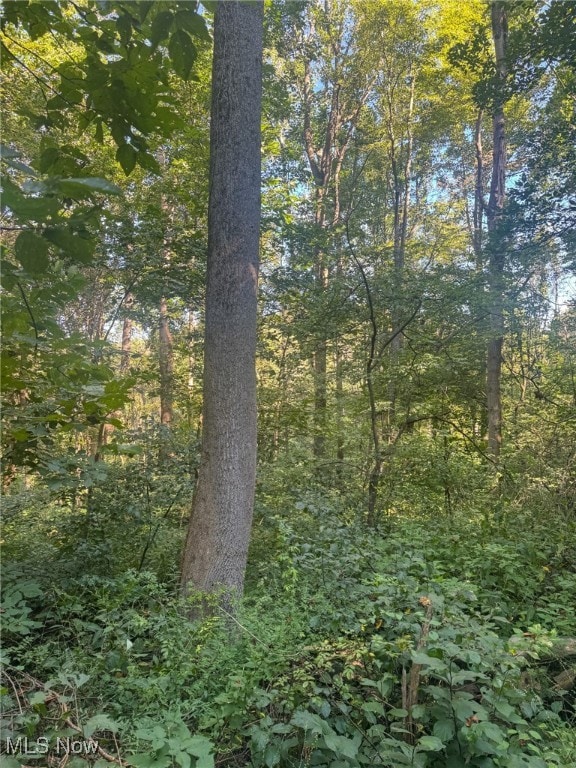 0 Greenlawn Rd unit 1, Quaker City, OH 43773 - photo 6