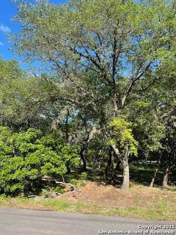 26026 Goldfinch Trail, San Antonio, TX 78255 - photo 3