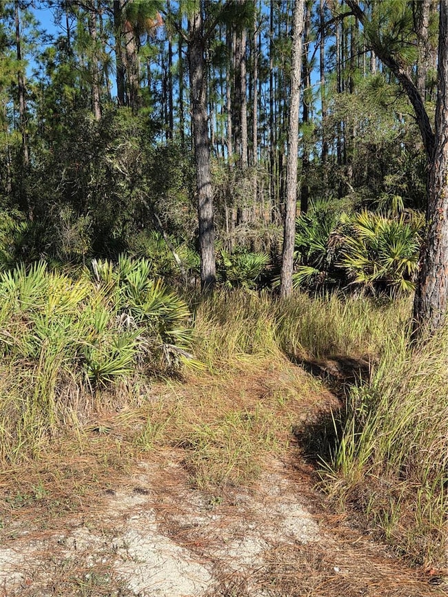 1351 R E Byrd Rd, Frostproof, FL 33843 - photo 4