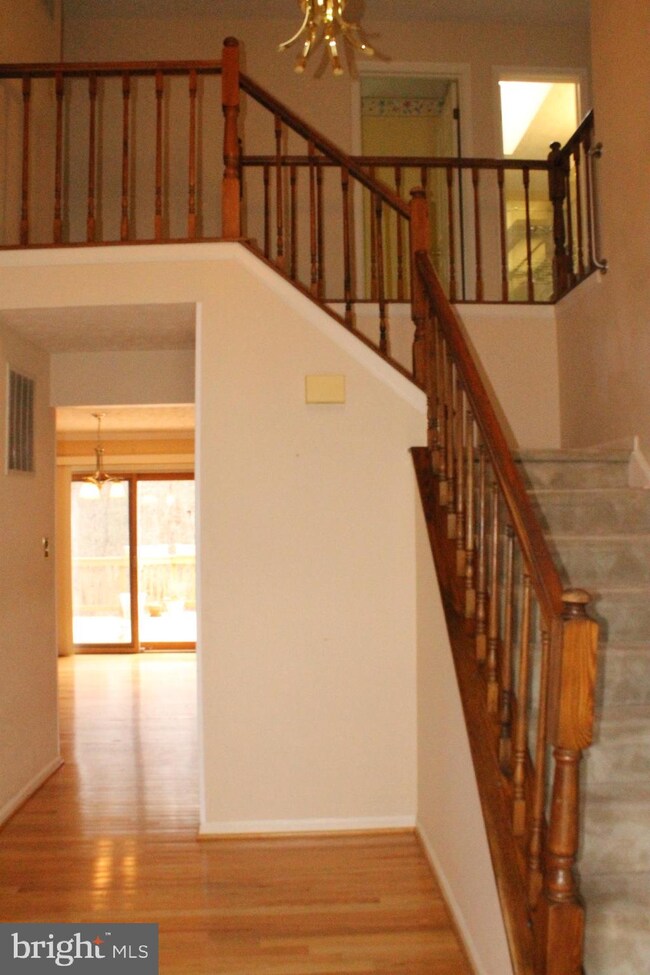 14919 Saddle Creek Dr, Burtonsville, MD 20866 - photo 4