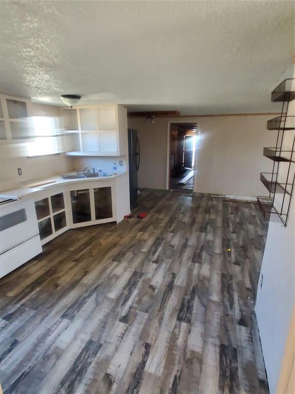 Unfurnished living room featuring sink, dark hardw