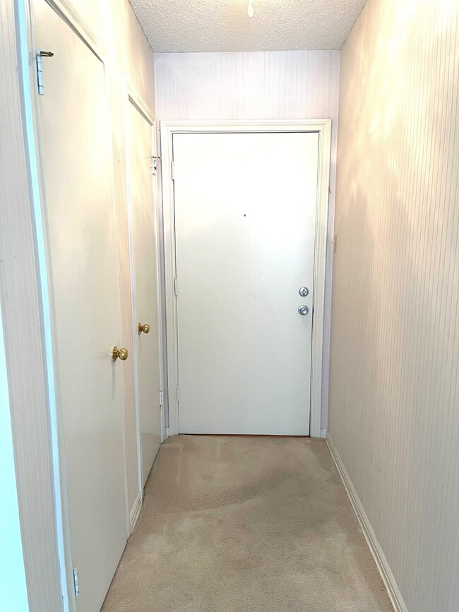 Entry hall with two closets