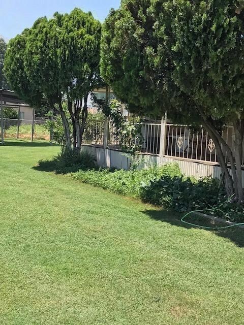 14320 Cook St, Poplar, CA 93257 - photo 3