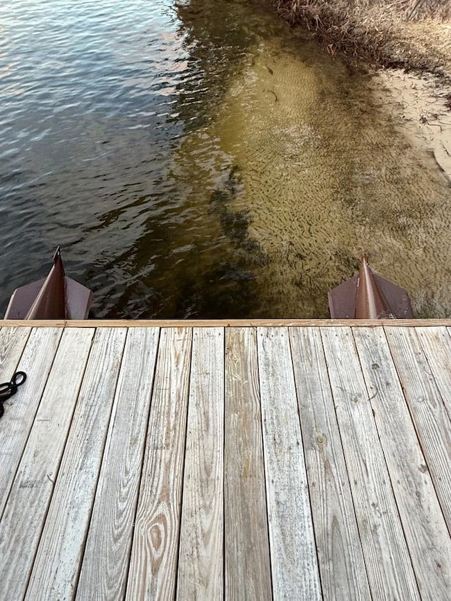 829 NW 78th Ave, Bell, FL 32619 - photo 4