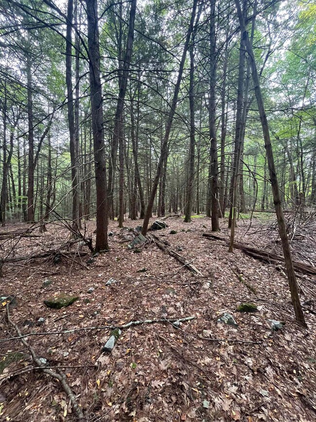 00 Skyline Dr, Vernon, VT 05354 - photo 3