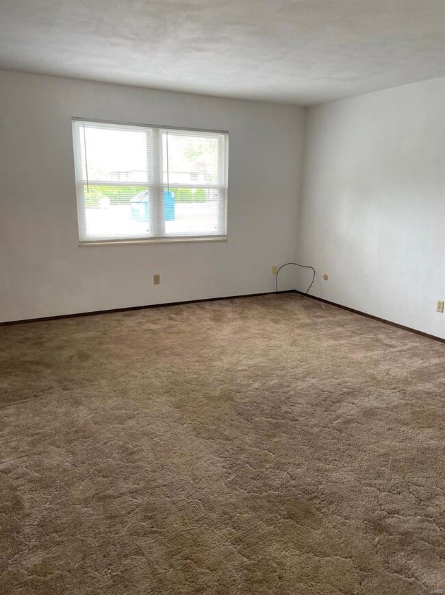 7 Sunset Dr unit C, Freeburg, IL 62243 - photo 5