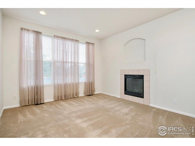 258 Mayeda Ct, Brighton, CO 80601 - photo 5