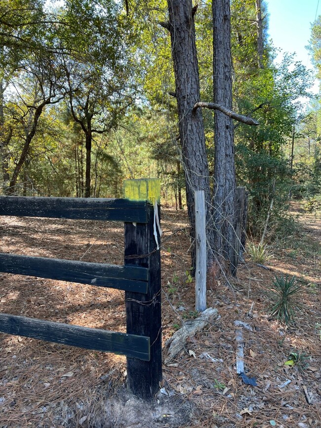 0 Sugar Bend Dr, Magnolia, TX 77355 - photo 5