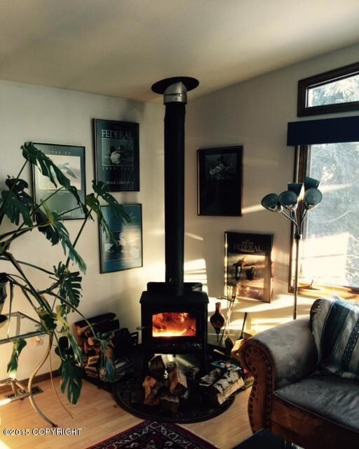 New wood stove 2013