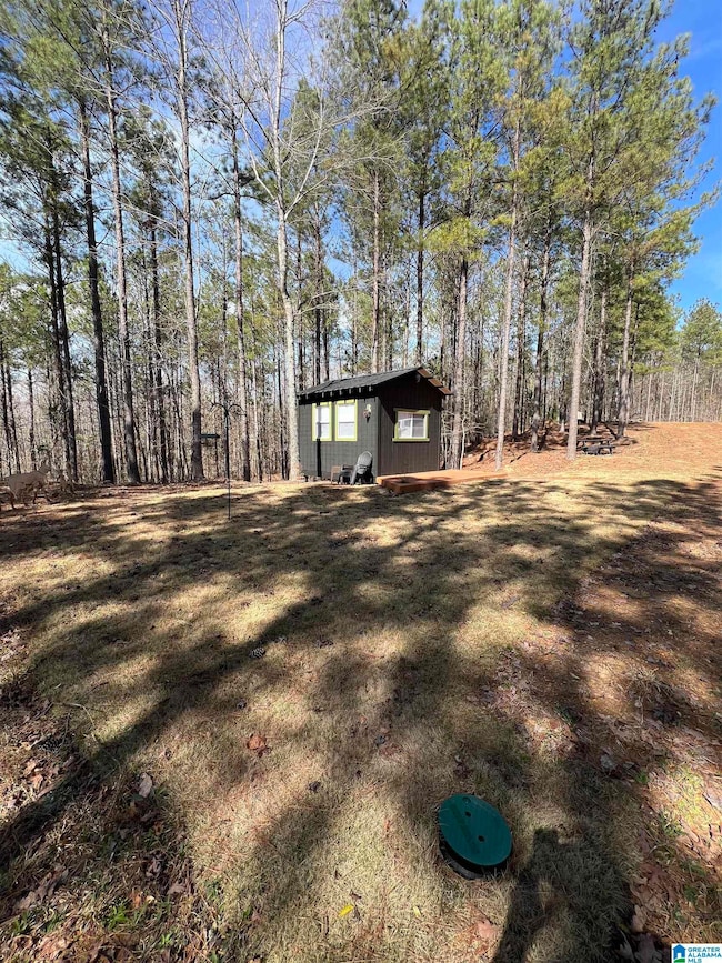 780 Sweet Apple Rd unit 1, Cropwell, AL 35054 - photo 5