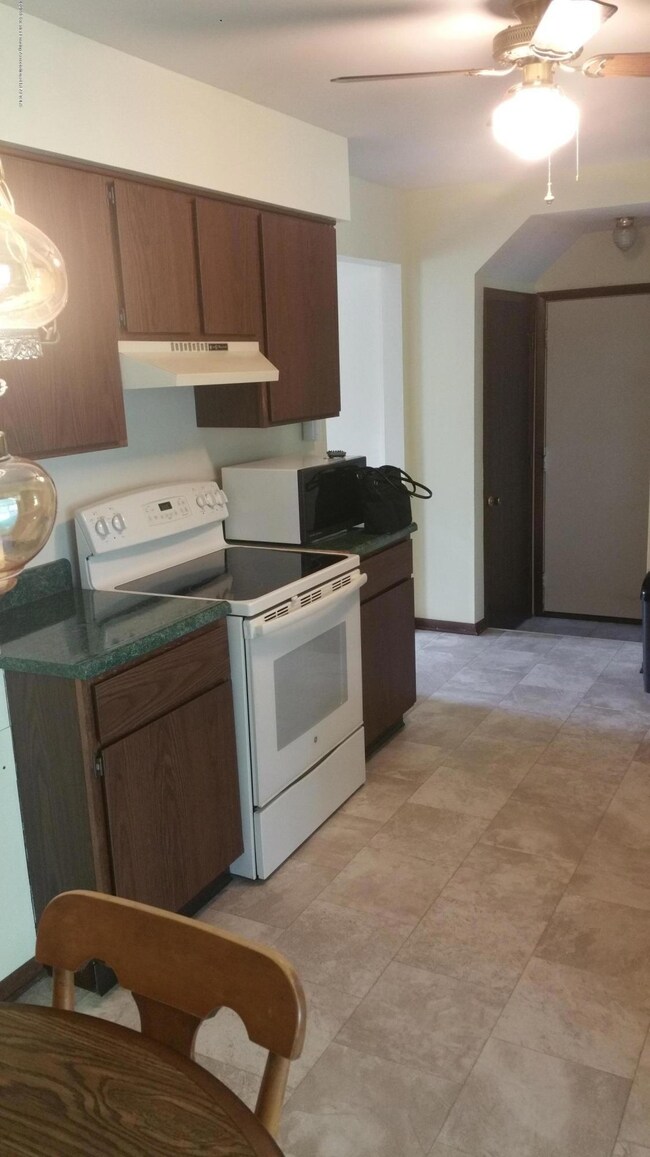 201 Tinley Dr, Lansing, MI 48911 - photo 6