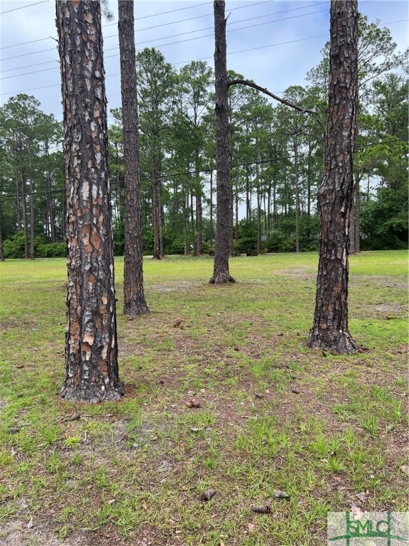 1275 Camellia Dr, Pembroke, GA 31321 - photo 4