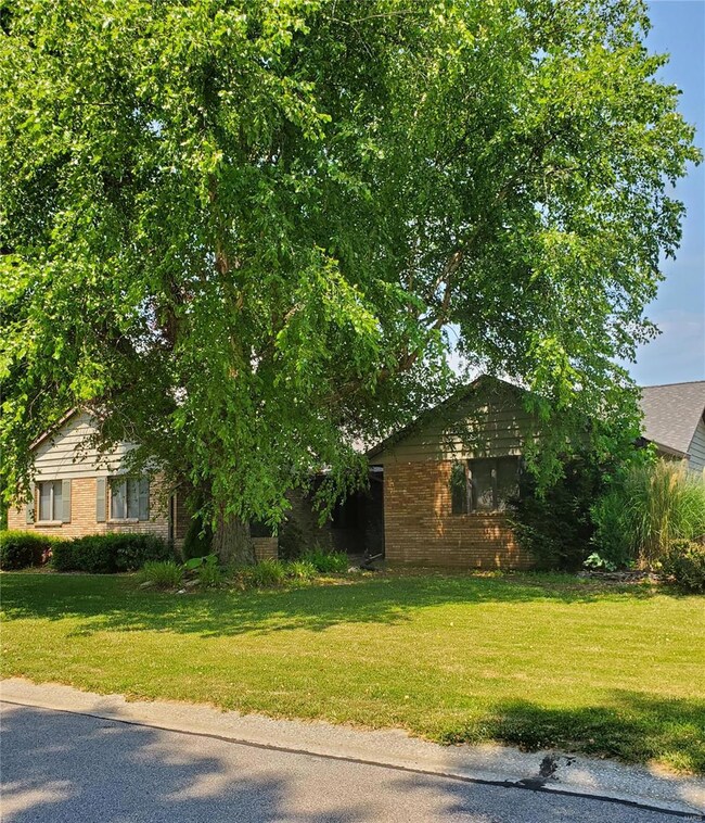 1978 Banyan Tree Rd, Collinsville, IL 62234 - photo 4