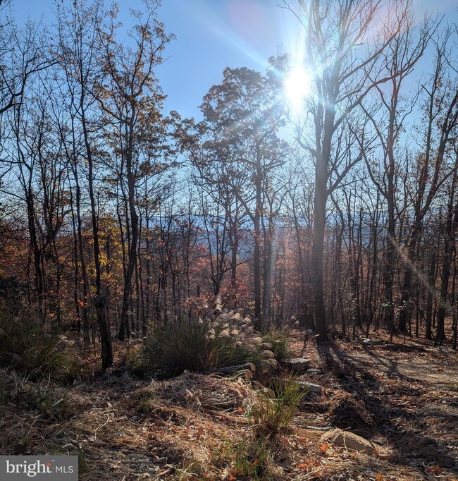 0 Parkside Dr unit WVMO2005316, Berkeley Springs, WV 25411 - photo 7